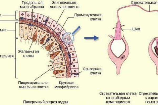 Не получается зайти на кракен