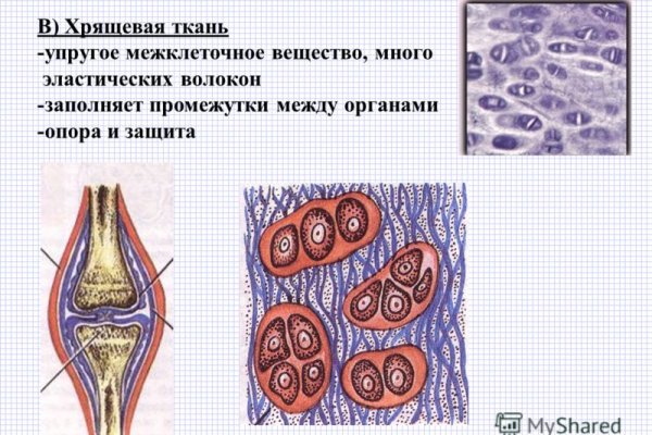 Кракен рабочая ссылка тор